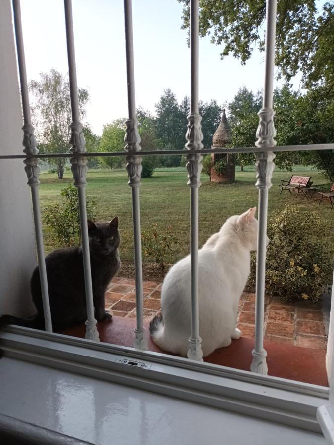 Guest House La Carolina Tigliole Εξωτερικό φωτογραφία